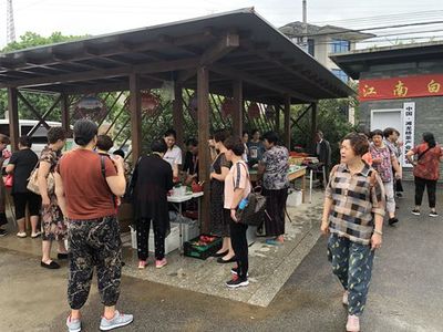 這輛車，“茶葉經濟”好乘涼”、“鄉村地攤”搭上“鄉村旅游”富民有新路
